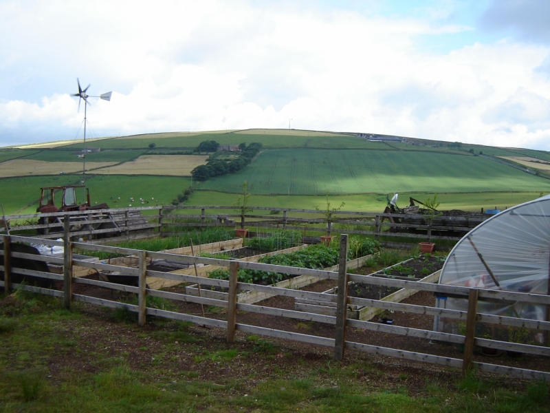 Garden & view