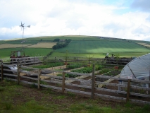 Garden & view