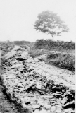 ListerWellLnflood1932