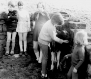 Kidsandcalf76