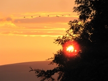 Bank Edge View 21st Sept 2014 091