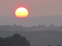 Bank Edge View 21st Sept 2014 174