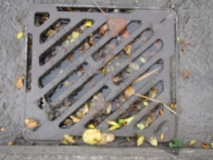 Rainhall Road gulleys 23rd Sept 2014 003
