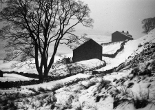 Kitchen Farm & Barn