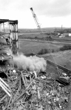 craneball1485057
