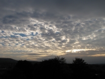 Bank Edge view 30th Sept 2014 010