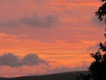 Bank Edge view 3rd Oct 2014 007