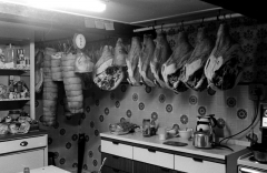 BaconStainton771401
