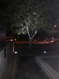 Barlick Memorial Garden at Night