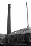 Mosschimney7855