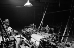 Looms at night769109
