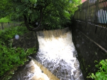 Butts Beck 23 June 2012