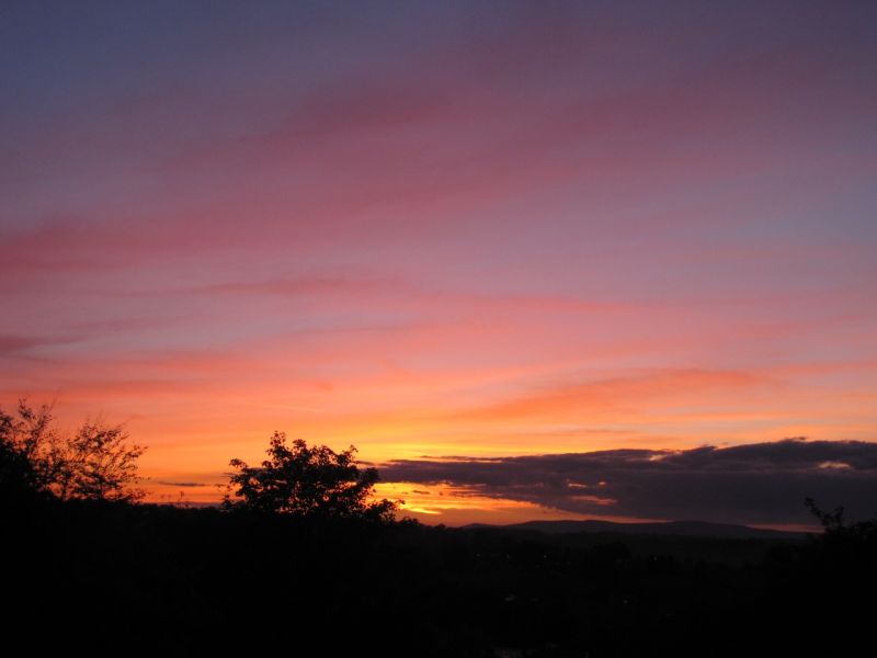 Bank Edge view 12th Oct 2014 050