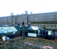 Saltaire allotments