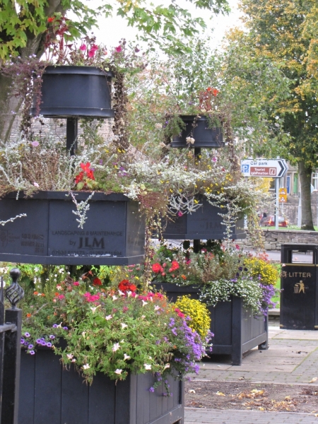 Bill and Ben Fernlea 19th Oct 2014 002