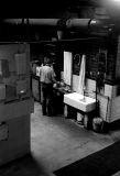 PaulGoldingbrewing770901