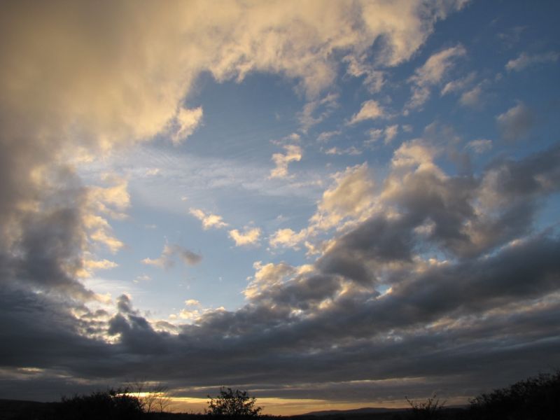 Bank Edge view 25th Oct 2014 016