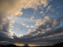 Bank Edge view 25th Oct 2014 016