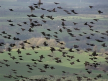 Windy Weets walk 26th Oct 2014 024