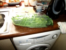 Greens