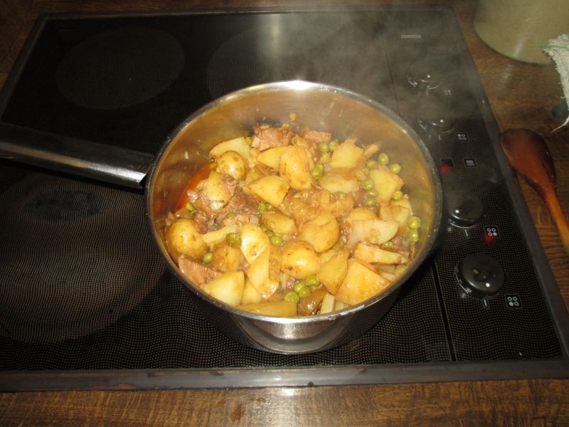 Left over stew 061114