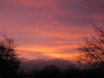 Bank Edge view 13th Nov 2014 003