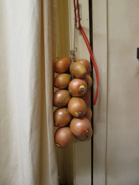 Strung onions