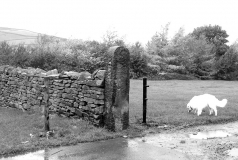 Letcliffebins1105