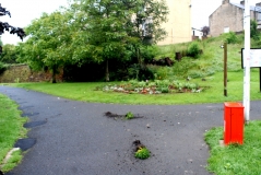 Vandalised flower bed Valley Gardens 070712