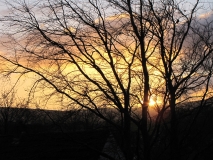 Bank Edge view 24th Dec 2014 030