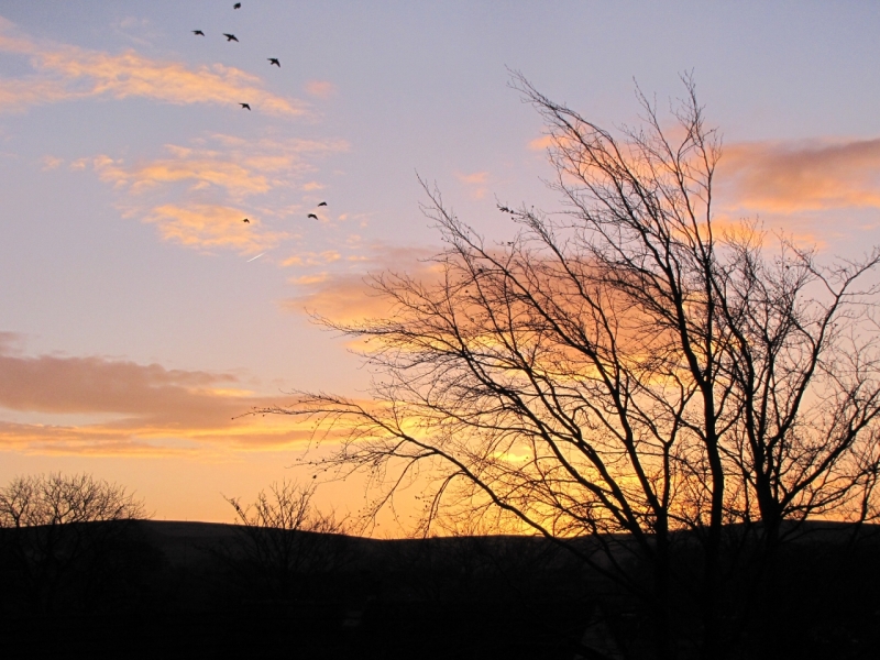 Bank Edge view 25th Dec 2014 005