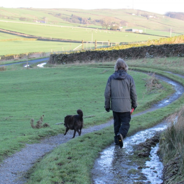Harden walk 1