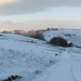 snowy morning 1