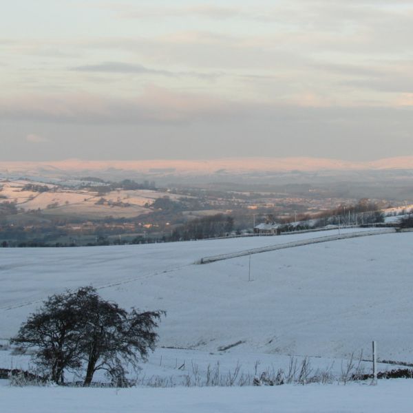 snowy morning 4