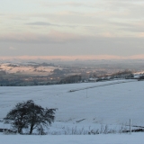 snowy morning 4