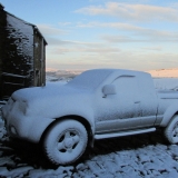 snowy morning 5
