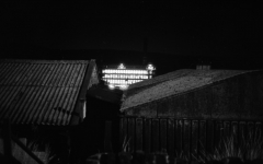 RossMillatnight766704