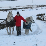 Fetching the ponies 2