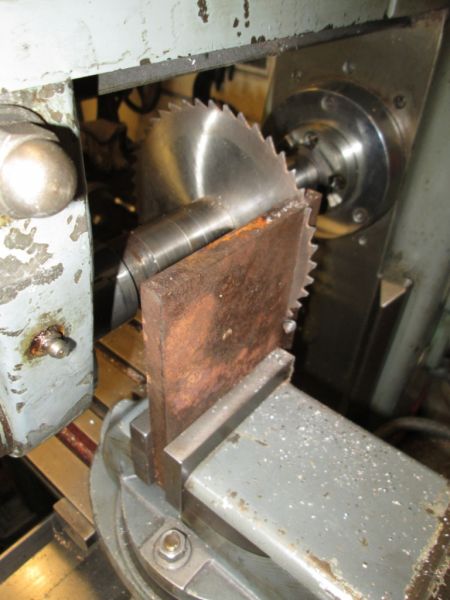 SHED 01 270115