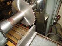 SHED 05 290115
