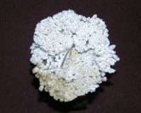 MYSTERY OBJECT 495
