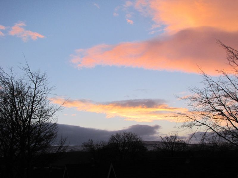 BEV 15 02 01 008
