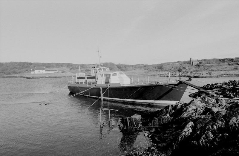 MurdoShearwater468601