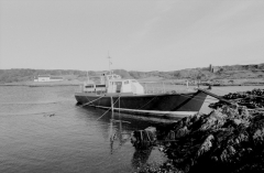 MurdoShearwater468601