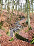 Brook in Marsden Park, Nelson.