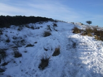 Bronze Age Bank