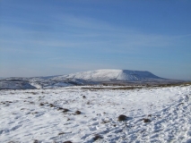 View to Pendle