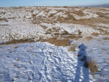 Open Moor