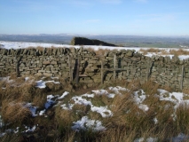 Spot the stile