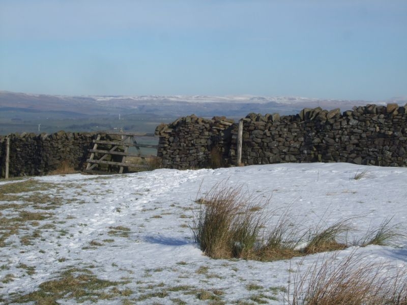 Spot the stile two